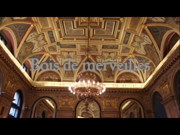 Cover27-「Bois de merveilles / MALICE MIZER」神威がくぽ（ガクポミゼル）【C.Makoto】