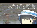 ふたばと野鳥@沖縄