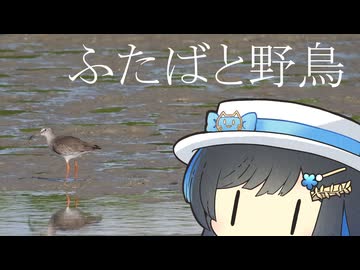 ふたばと野鳥@沖縄