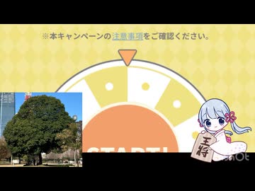 eeoくじを引くつくよみちゃんと木