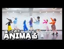【世那Riluばむ】ANIMAる 踊ってみた【寺島ななせしるこ蒼】