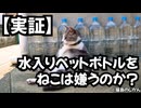 水の入ったペットボトルを猫は本当に嫌がるのか？
