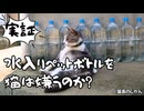 水の入ったペットボトルを猫は本当に嫌がるのか？
