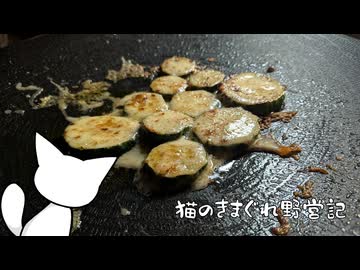 猫のきまぐれ野営記 JKに真似出来ない汚い大人キャンプ石川編