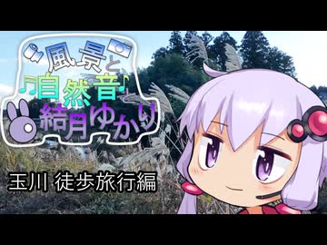 玉川の徒歩旅行と草の音と結月ゆかり【徒歩旅行祭2025】