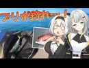 紲星あかりに釣られてみる？ 遂にブリが釣れ…‼【VOICEROIDフィッシング】