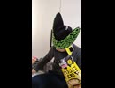 BRISA LASSA トルコ Sabanici社とブリジストンの合併のタイヤを履いた自動車・バイクが死亡事故・交通事故・重傷事故・暴走事故・危険運転・死傷事故・スリップ事故・傷つける運転無で願う祈祷