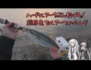 アリミリ姉妹の淡路島海釣り日記Part.38