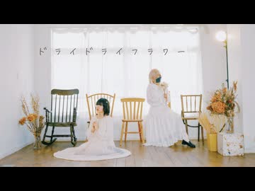 【夏音×nin.】ドライドライフラワー 踊ってみた