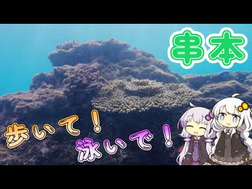 【徒歩旅行祭2025】歩いて！泳いで！本州最南端の町串本