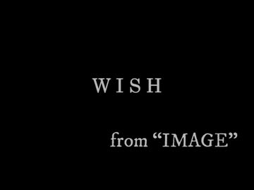 Cover32-「WISH / LUNA SEA」初音ミク【C.Makoto】