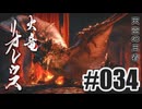 はじめてのモンハンを夜な夜な実況#034