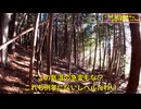 (再発した不正受給事件について語ろうか）変態忍者の、有害鳥獣駆除従事活動記・その３５４