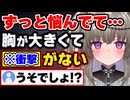 実は胸が大きいことを公言し、ある悩みを打ち明ける冥鳴ひまり【Vtuber/切り抜き】