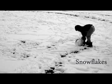 Snowflakes/開発コードmiki