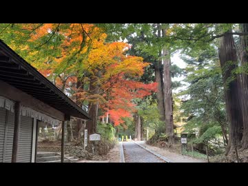 2025　1108　岩手県　平泉町　紅葉の中尊寺　1