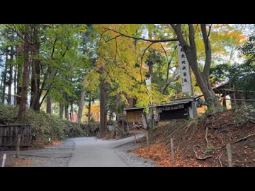 2025　1108　岩手県　平泉町　紅葉の中尊寺　5