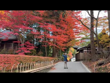 2025　1108　岩手県　平泉町　紅葉の中尊寺　6