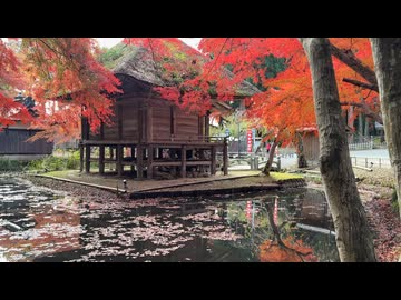 2025　1108　岩手県　平泉町　紅葉の中尊寺　8