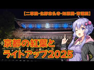 【二尊院・化野念仏寺・知恩院・青蓮院】京都の紅葉とライトアップ2025