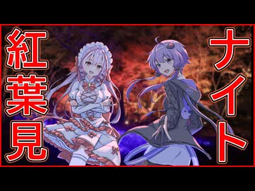 超ローカルお散歩　紅葉見ナイト２０２５