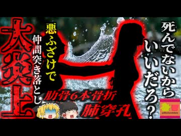 『は？ふざけただけじゃん！！』友人を地上18mの橋から突き落とした少女 肺に穴をあける重傷を負わせ大炎上 有罪判決を受け服役することに…【ゆっくり解説】