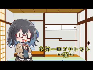 宮舞一口プチトマト 10粒目