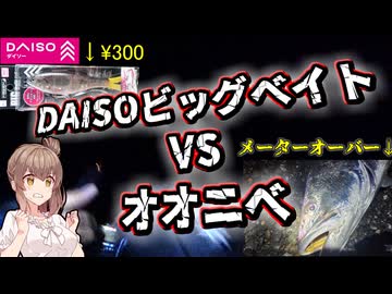 【ヒット前から収録】ダイソービッグベイトで１ｍ超えのオオニベ釣ってみたら…【遠州灘ナイトサーフ】【怪魚ハンターささらちゃん】シリーズ 1