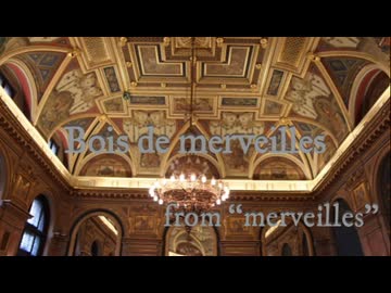 Cover31-「Bois de merveilles / MALICE MIZER」神威がくぽ（ガクポミゼル）【C.Makoto】