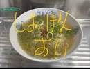 塩元帥　しおげんすい　生麺　もやし　ネギ　ニンニク　生姜　作ってみた