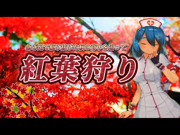 【ソフトウェアトーク劇場】急ぎ足で駆け抜けた秋の背中を追って 紅葉狩り【雨晴はう】