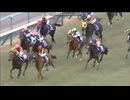 2013 阪神ジュベナイルＦ(GI)　レッドリヴェール