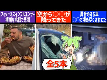 12月9日 世界のおもしろB級ニュース【全5本】【ずんだもん】