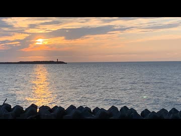 ブルーアンバー/back number（cover）