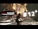 ★実況【 Tomb Raider Definitive Edition 】＃12 (CERO:D)