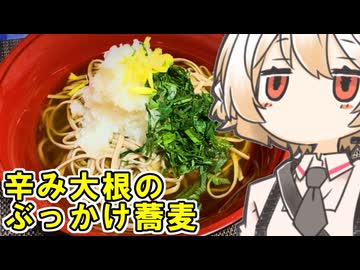辛み大根のぶっかけ蕎麦【ナースロボ】