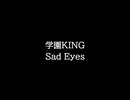 【知る人ぞ知るゲーム名曲(※)】学園KING - Sad Eyes