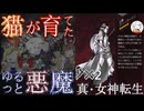 【D2メガテン】オススメ悪魔紹介７(幻魔・クーフーリン編)【初心者支援】