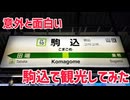 【意外と楽しい】駒込で観光してみよう【六義園/旧古河庭園】