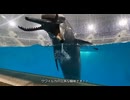日本一怖い水族館「深海恐怖園」に行ってみた