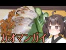 【お料理】東北きりたんとカオマンガイ
