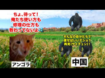 【アフリカ 農業支援】まさに天国と地獄！？日本と組んだタンザニアと中国と組んだアンゴラの末路 #猫マニ #猫ミーム
