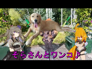 そらさんと行く！四回目の鹿児島訪問～その２～