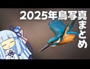 【VOICEROID探鳥】2025年の探鳥に満足する琴葉葵【スライドショー】