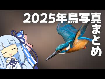 【VOICEROID探鳥】2025年の探鳥に満足する琴葉葵【スライドショー】