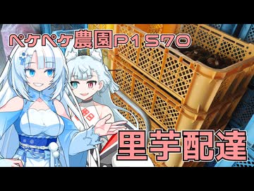 2025年12月10日　農作業日誌P1570　里芋掘りして、配達して、寄り道して帰ってきた