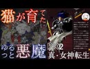 【D2メガテン】オススメ悪魔紹介12(幻魔・異世界クーフーリン編)【初心者支援】