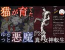 【D2メガテン】オススメ悪魔紹介14(夜魔・リリス編)【初心者支援】
