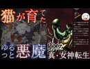 【D2メガテン】オススメ悪魔紹介17(魔王・マーラ編)【初心者支援】