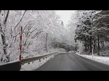 車載　岩手県国道107号　錦秋湖峠道